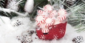 Christmas candy in sleigh Christmas candy in sleigh