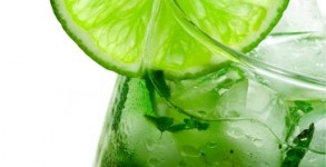 Mojito Mojito