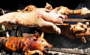 El lechón asado