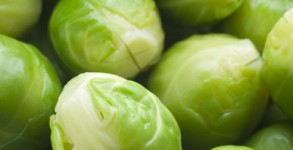 Brussel Sprouts Brussel Sprouts