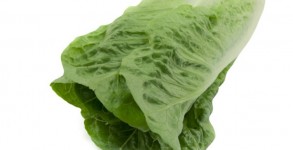 romana Lechuga Romana